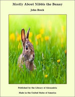 Mostly About Nibble the Bunny