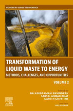Transformation of Liquid Waste to Energy