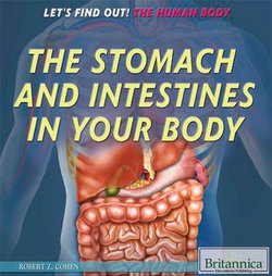 The Stomach and Intestines in Your Body The Stomach and Intestines in Your Body