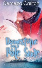 Domestique pour le Pole Sude
