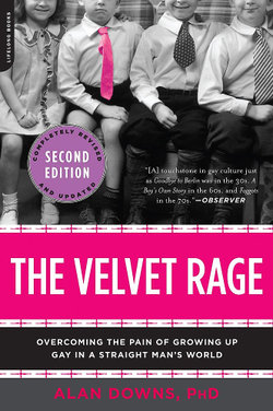 The Velvet Rage The Velvet Rage