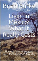 Livin' In Mexico: What It Really Costs