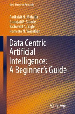 Data Centric Artificial Intelligence: a Beginner's Guide