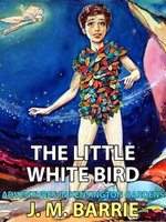 The Little White Bird