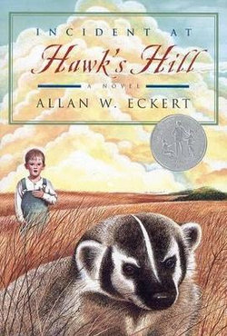 Incident at Hawk's Hill (Newbery Honor Book)