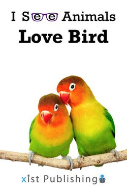 Love Bird