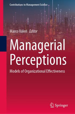 Managerial Perceptions Managerial Perceptions