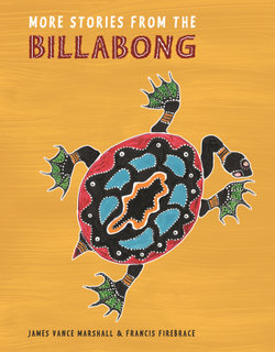 More Stories From the Billabong More Stories From the Billabong