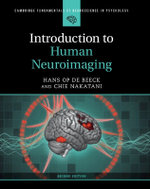 Introduction to Human Neuroimaging