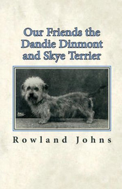 Our Friends the Dandie Dinmont and Skye Terrier Our Friends the Dandie Dinmont and Skye Terrier