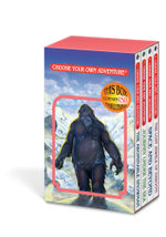 Choose Your Own Adventure 4-Book Set