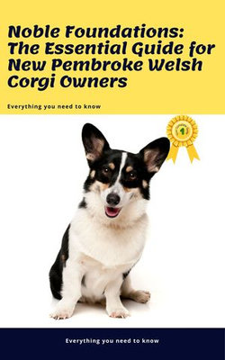 Noble Foundations: The Essential Guide for New Pembroke Welsh Corgi Owners
