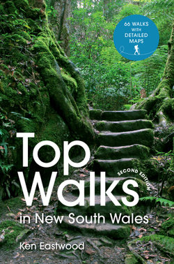Top Walks in New South Wales