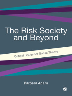 The Risk Society and Beyond