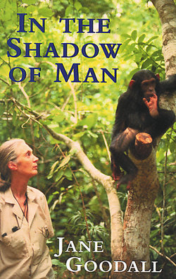 In the Shadow of Man