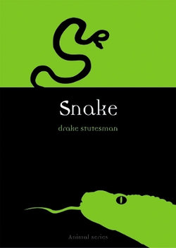 Snake Snake