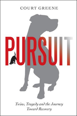 Pursuit