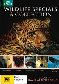 Wildlife Specials: A Collection (Polar Bear / Eagle / Crocodile / Wolf / Humpback Whale) (David Attenborough)