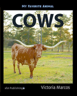 My Favorite Animal: Cows