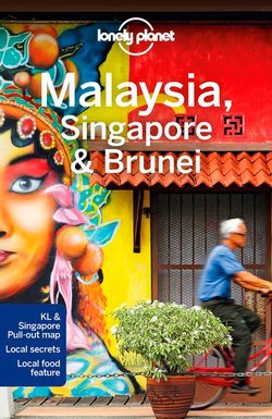 Lonely Planet Malaysia, Singapore and Brunei 14