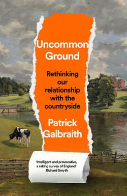Common Ground