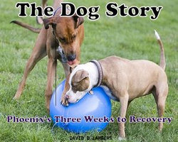 The Dog Story