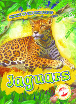 Jaguars