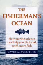 Fisherman's Ocean