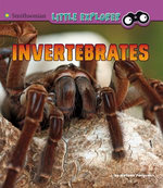 Invertebrates