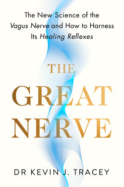 The Great Nerve