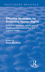 Effective Strategies for Protecting Human Rights