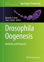 Drosophila Oogenesis