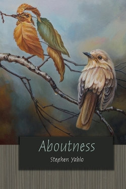 Aboutness Aboutness