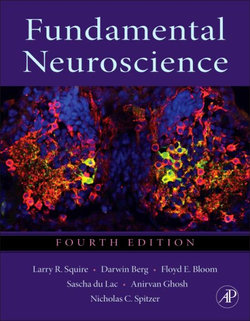 Fundamental Neuroscience Fundamental Neuroscience