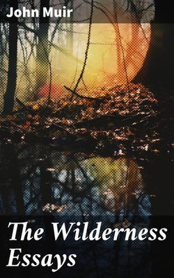 The Wilderness Essays The Wilderness Essays