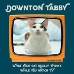 Downton Tabby