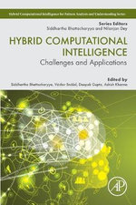 Hybrid Computational Intelligence