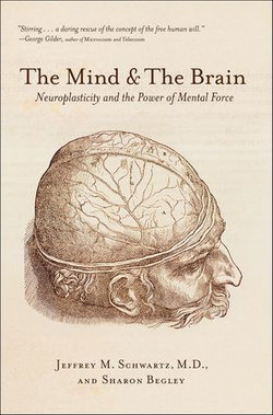 The Mind & The Brain