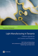 Light Manufacturing in Tanzania