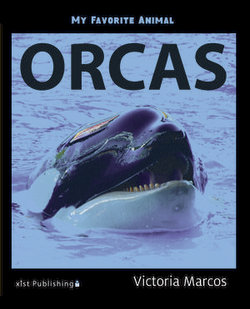 My Favorite Animal: Orcas