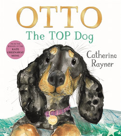 Otto the Top Dog Otto the Top Dog