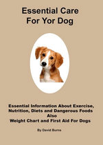 Essential Care For Your Dog