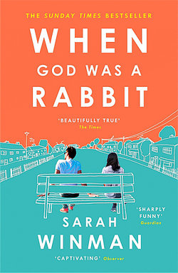 When God was a Rabbit
