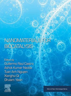 Nanomaterials for Biocatalysis Nanomaterials for Biocatalysis