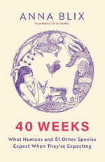 40 Weeks