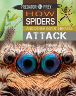 Predator vs Prey: How Spiders and Other Invertebrates Attack!