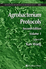 Agrobacterium Protocols