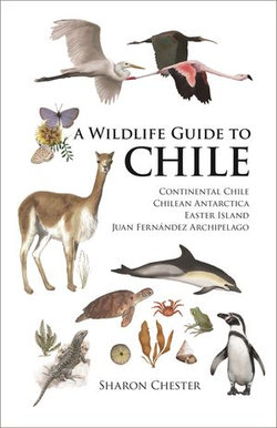A Wildlife Guide to Chile