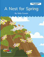 A Nest for Spring