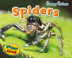 Spiders